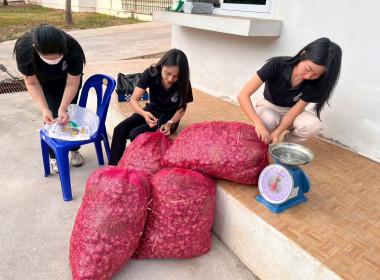 สำนักงานสหกรณ์จังหวัดหนองคายกระจายหอมแดง(ปึ๋ง) ... พารามิเตอร์รูปภาพ 25